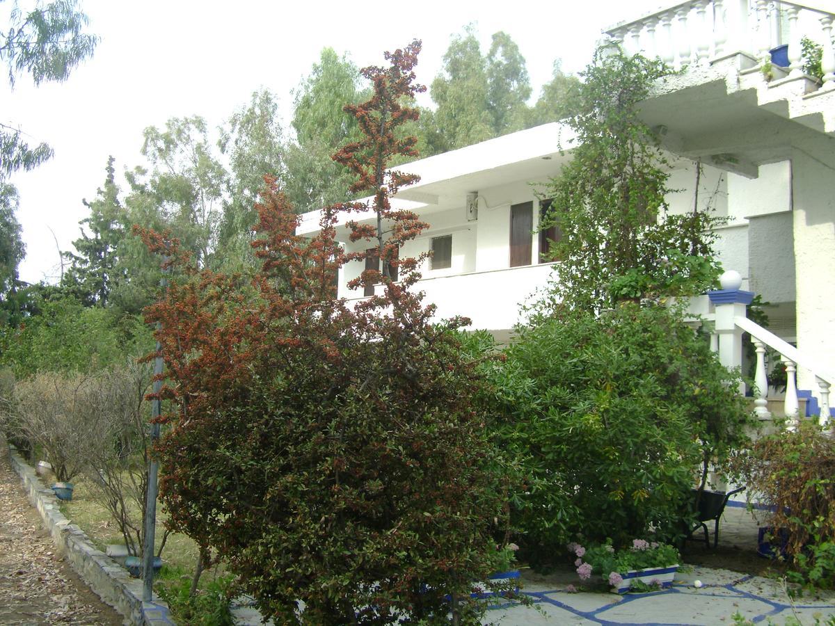 Villa Zoi Thronion Buitenkant foto